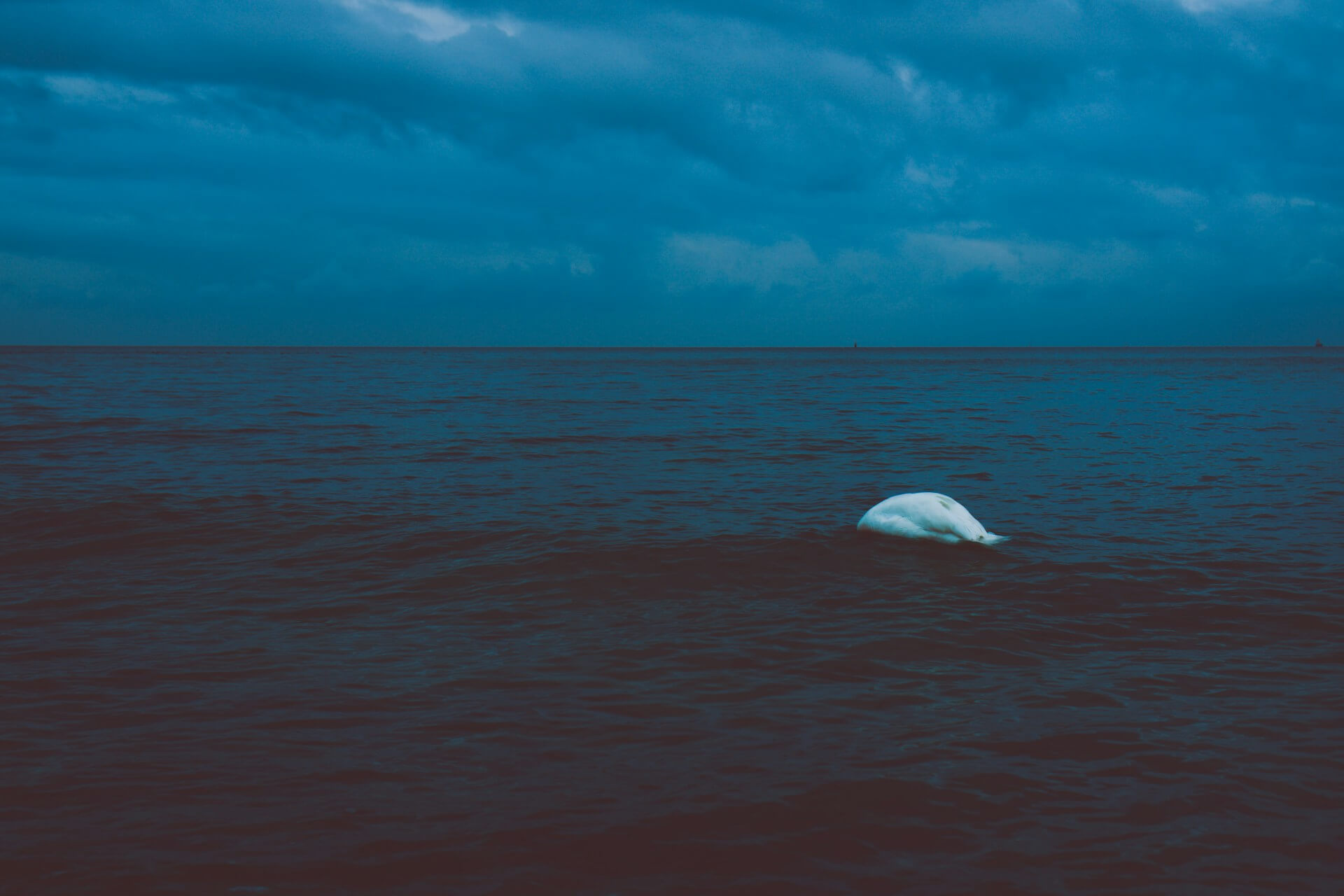 Jakie są praktyczne wskazówki dla osób ze schizofrenią?